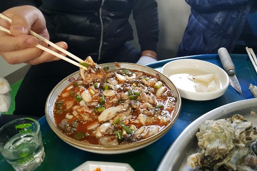 <카메라뉴스> 통통 겨울철 별미, 굴 요리가 굿