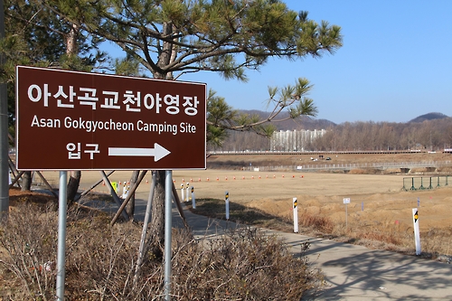 관광농원·야영장·자전거도로도 AI 불똥