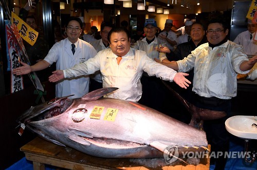 日 쓰키지시장 참치 새해 첫 경매…한마리 7억6천만원 낙찰
