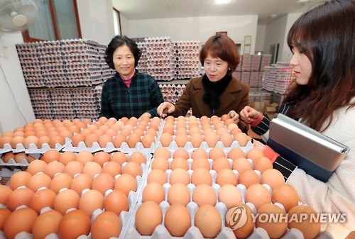 불량 달걀 점검