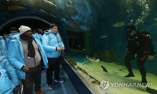 경포 아쿠아리움 방문한 드림 프로그램 참가자들