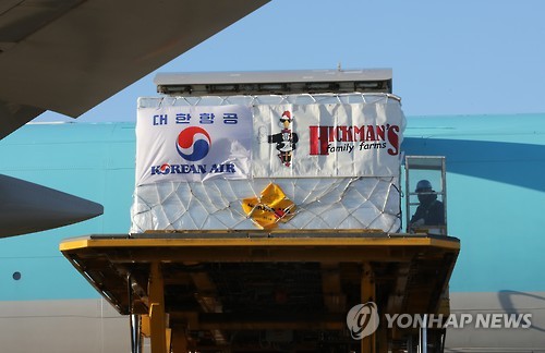 하기되는 미국산 계란