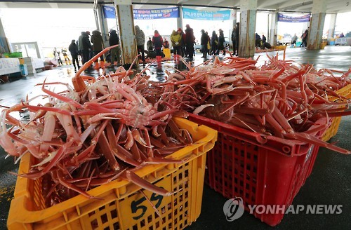동해시 추암 대게 타운 조성…묵호지역 주민 반발