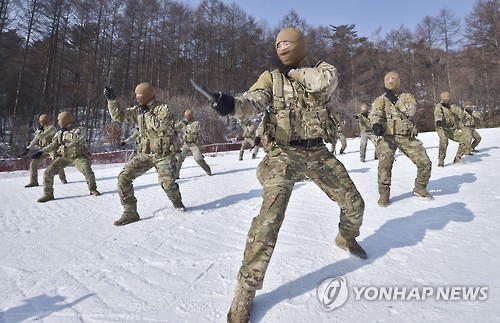 무사트 무술 훈련하는 해군특수전전단 장병들