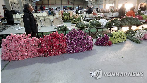 꽃 특수 졸업철 맞나…썰렁한 화훼 공판장