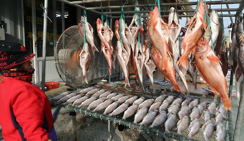 그래도 설인데…제사상에 오를 생선 말리기 바쁘다