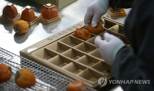 전국으로 가는 함안 곶감