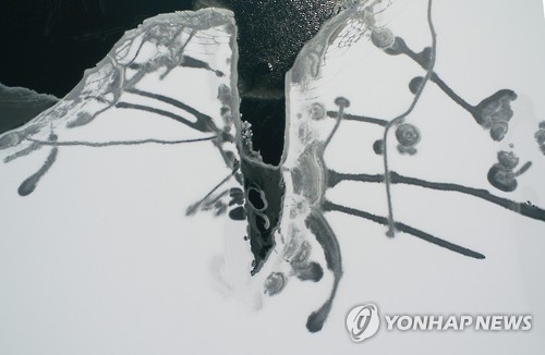 한파대륙