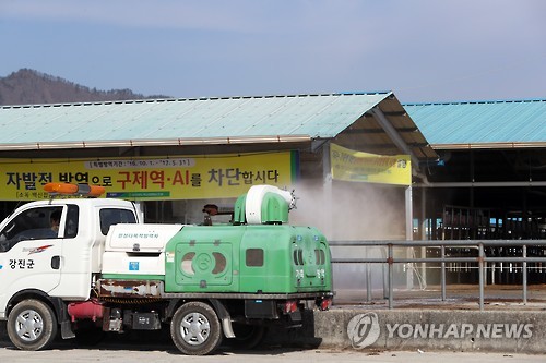 구제역 막아라 우시장 방역