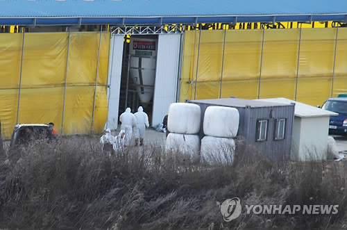 충북 보은 한우농장 구제역 양성…전국 4번째(종합)