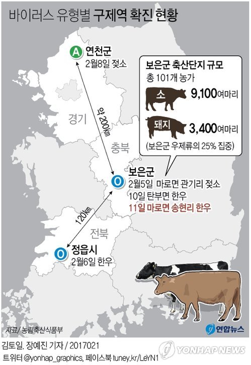 한국 가축전염병 쇼크…방역시스템 사실상 붕괴