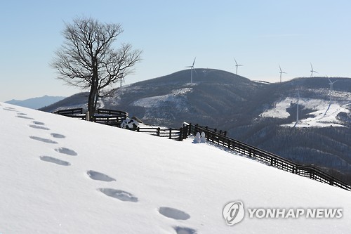 평창, 대관령 삼양 목장