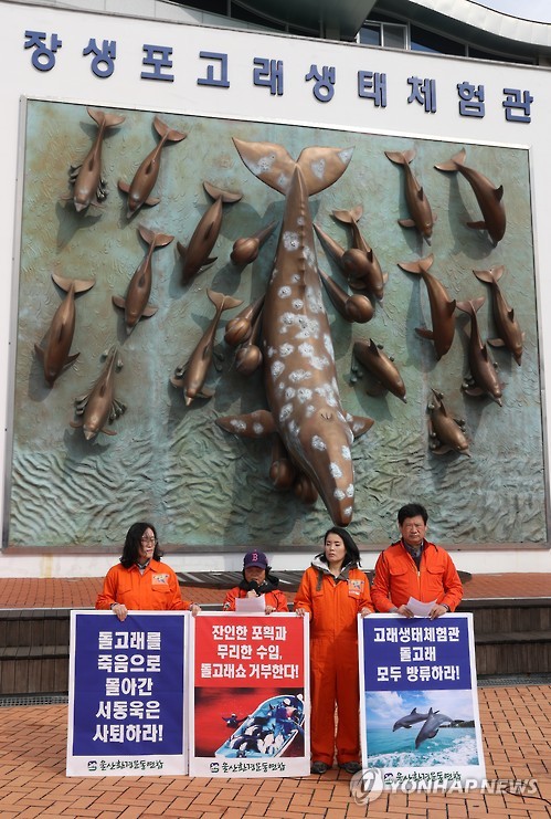 돌고래 수입 중단·방류 요구 기자회견