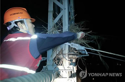 까치집 제거하는 코레일 직원