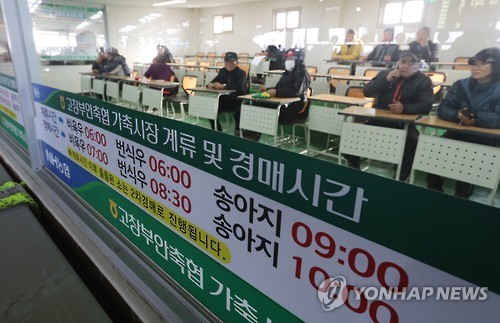 경매 기다리는 농민들