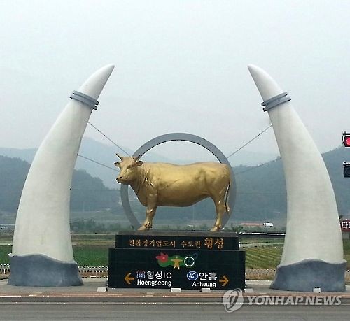 횡성축협한우 11년 연속 브랜드파워 1위