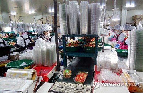 수출용 매향 딸기 포장
