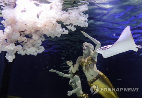 수족관에도 봄이 왔다