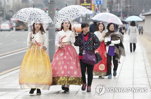 봄비가 만든 한복과 우산의 어울림