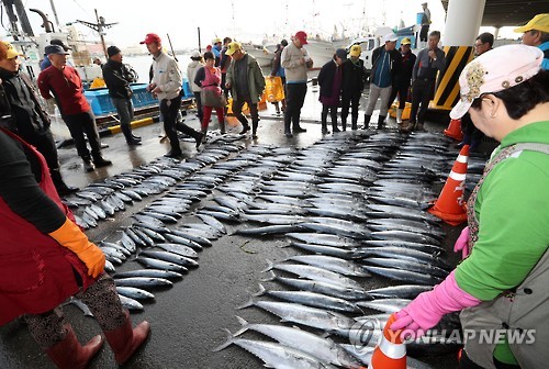 부산공동어시장 주요 어종 위판량 반토막…최악의 불황