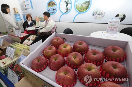청송 명품 사과