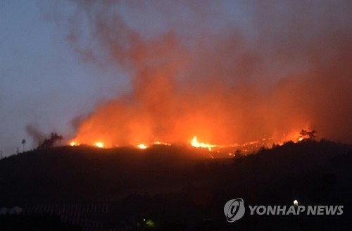 강릉·삼척 대형 산불…민가 31채 집어삼켜·2천500명 대피령(종합3보)