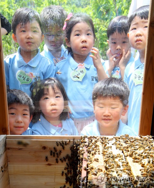 허니팩토리 살펴보는 어린이들