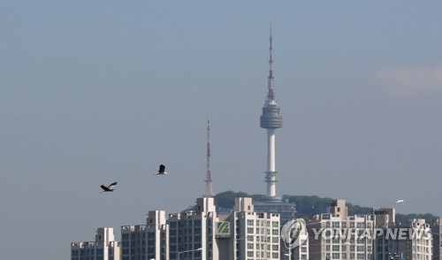 오늘도 푸름