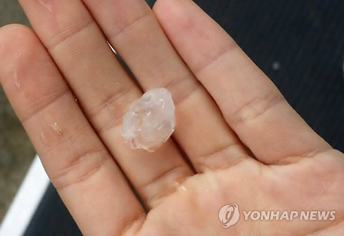 포항에도 우박