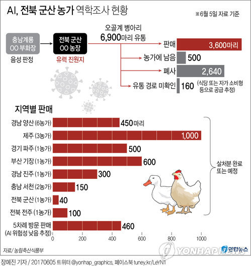 울산 전통시장서 유통된 후 폐사한 토종닭 AI 양성(종합)