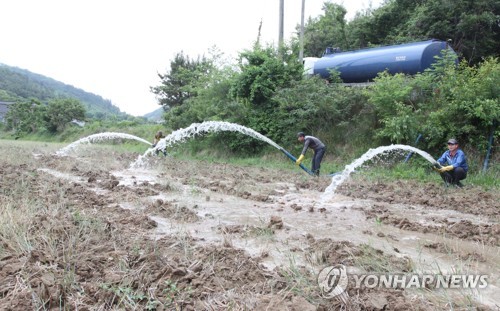 정화조 회사도 모내기 급수 지원
