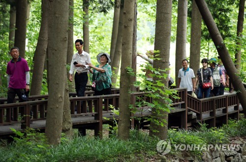 강진 초당림에서 숲 속 힐링