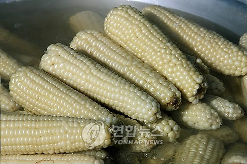 여름 휴가 절정…정선 찰옥수수 판매 불티