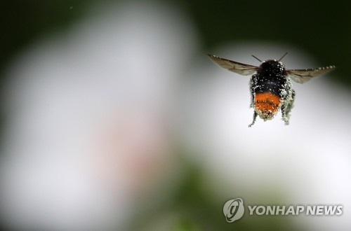 잘 먹었습니다