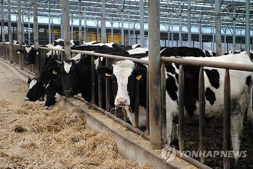 소·돼지는 산란계와 달라요…살충제 안 씁니다