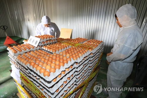 경기교육청 도내 학교급식 납품 계란 안전 확인