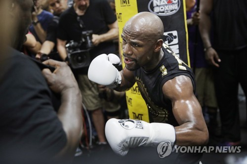 복싱/격투기