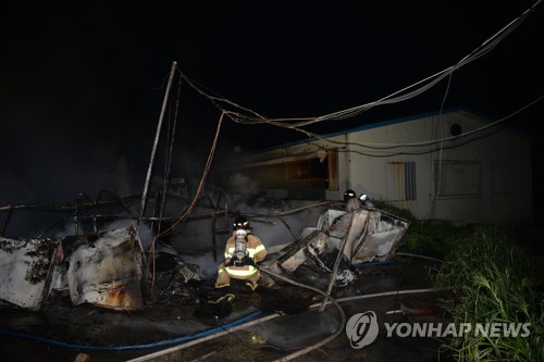 이천 돼지 축산농장서 불