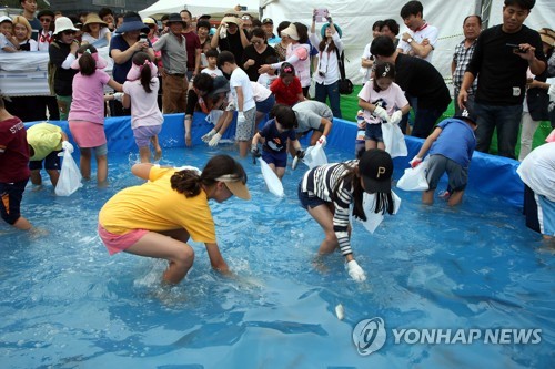 맨손 고기잡이 신나요