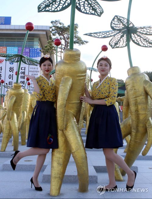 금산세계인삼엑스포로 놀러오세요