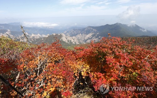 울긋불긋 단풍 물든 전국 유명산마다 원색의 물결