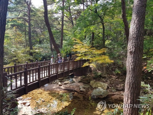 가을색 치장하는 속리산 세조길