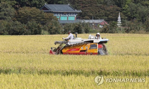황금 들녘에 농부