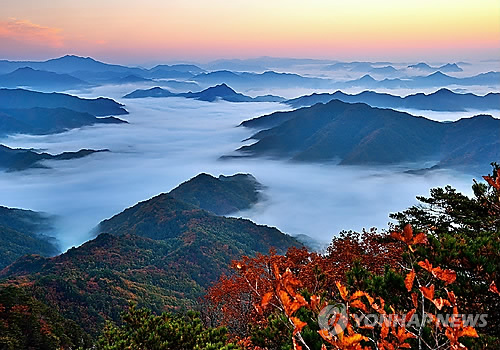 강원 원주 치악산 단풍 이번 주말 절정