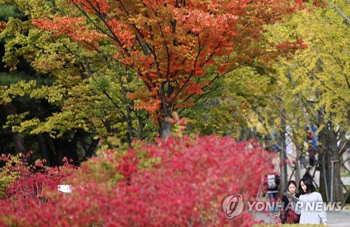붉은 낭만이 내려앉은 가을 캠퍼스