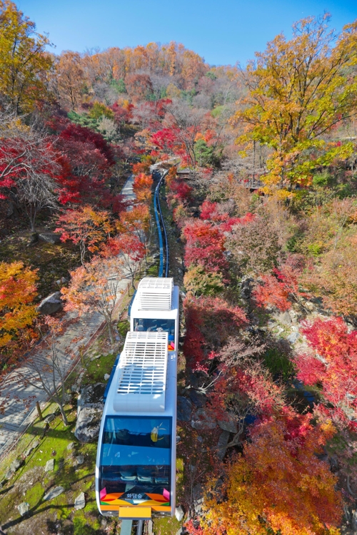[길따라 멋따라] 내일이면 늦으리…겨울비 촉촉한 화담숲에서 심쿵