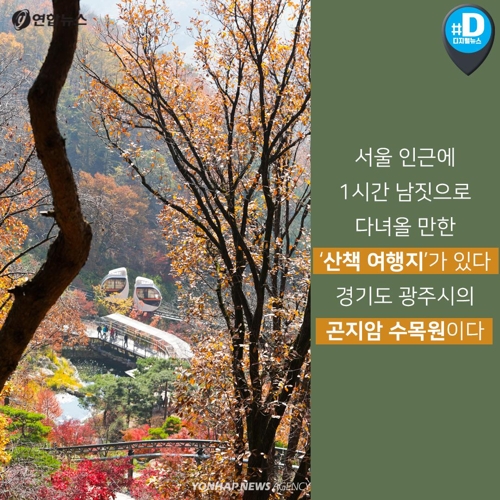 [카드뉴스] 배려가 숨어있는 산책…곤지암 화담숲 여행