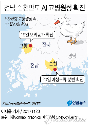 전남 순천만 철새 분변도 고병원성 AI 바이러스 확진
