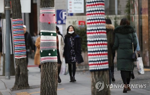 형형색색 뜨개옷 입은 나무들