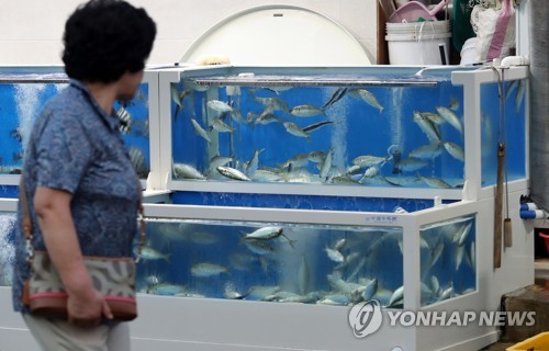 산낙지 먹고 싶어서…식당 수족관 깨고 해산물 훔친 60대
